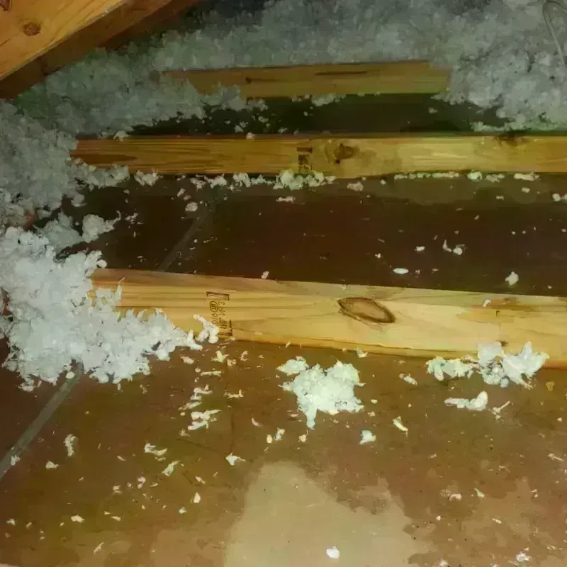 Attic Water Damage in Masonboro, NC