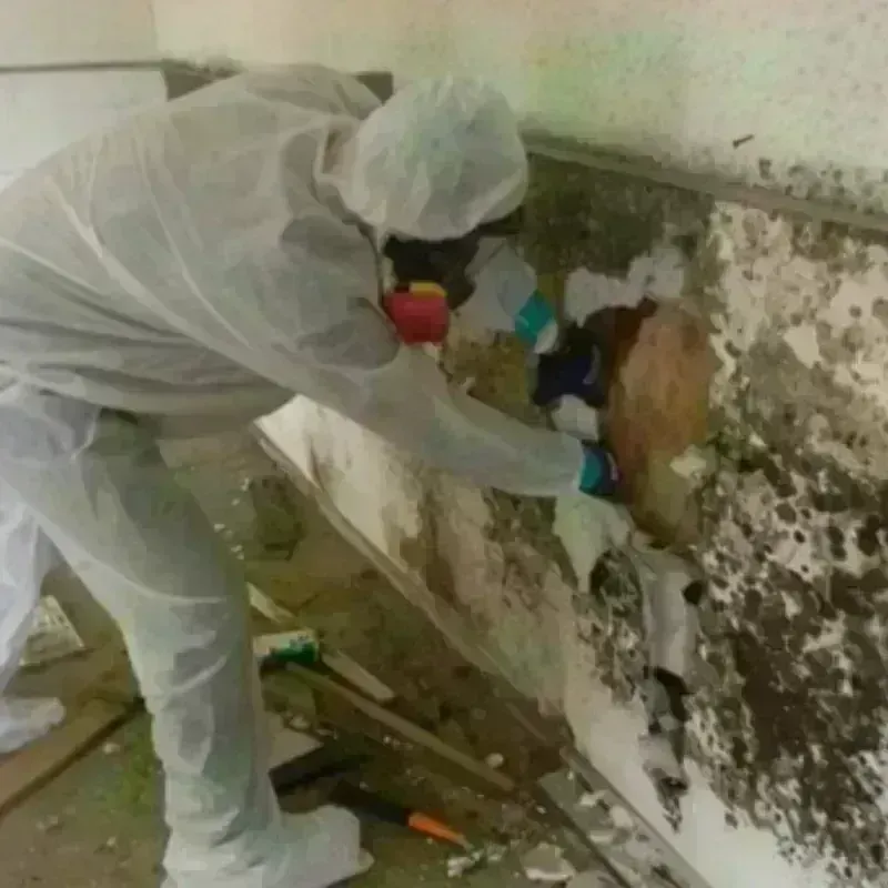 Mold Remediation and Removal in Masonboro, NC